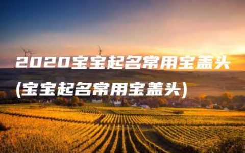 2020宝宝起名常用宝盖头(宝宝起名常用宝盖头)