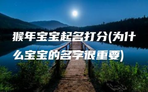 猴年宝宝起名打分(为什么宝宝的名字很重要)