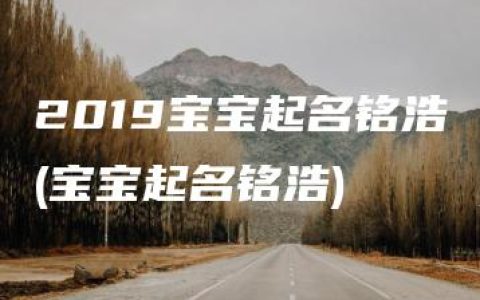 2019宝宝起名铭浩(宝宝起名铭浩)