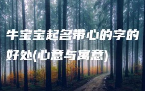 牛宝宝起名带心的字的好处(心意与寓意)