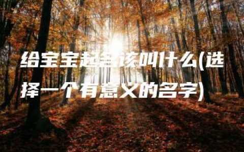 给宝宝起名该叫什么(选择一个有意义的名字)