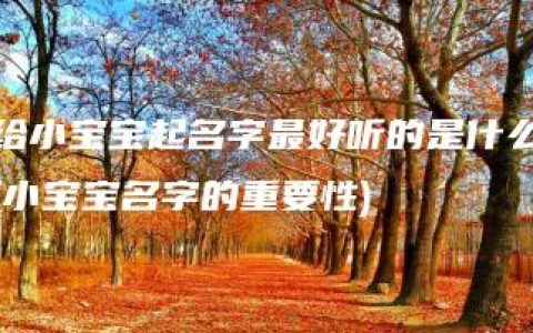 给小宝宝起名字最好听的是什么(小宝宝名字的重要性)