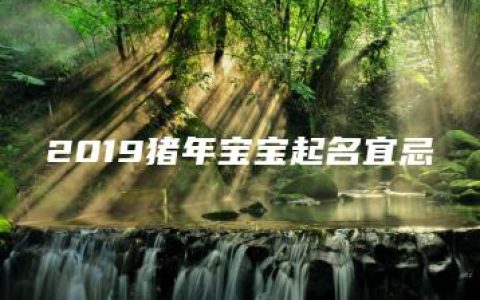 2019猪年宝宝起名宜忌