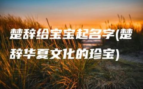 楚辞给宝宝起名字(楚辞华夏文化的珍宝)