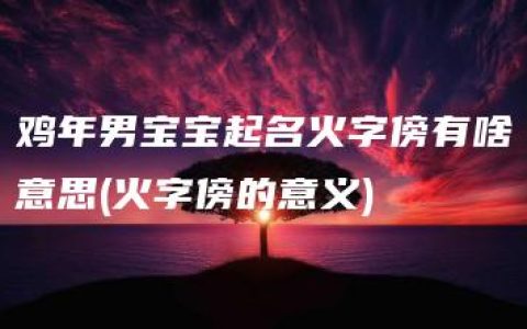 鸡年男宝宝起名火字傍有啥意思(火字傍的意义)