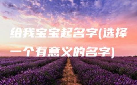 给我宝宝起名字(选择一个有意义的名字)