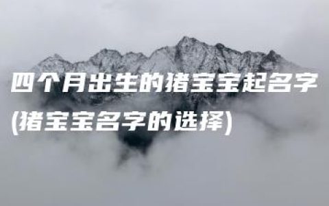 四个月出生的猪宝宝起名字(猪宝宝名字的选择)