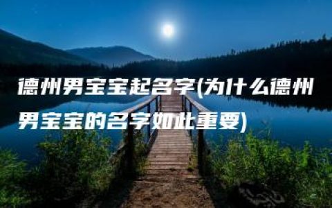 德州男宝宝起名字(为什么德州男宝宝的名字如此重要)