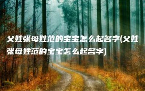 父姓张母姓范的宝宝怎么起名字(父姓张母姓范的宝宝怎么起名字)