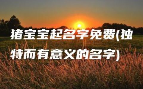 猪宝宝起名字免费(独特而有意义的名字)