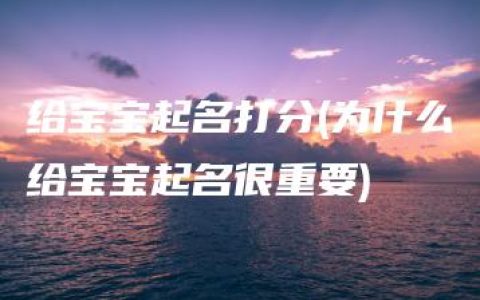 给宝宝起名打分(为什么给宝宝起名很重要)