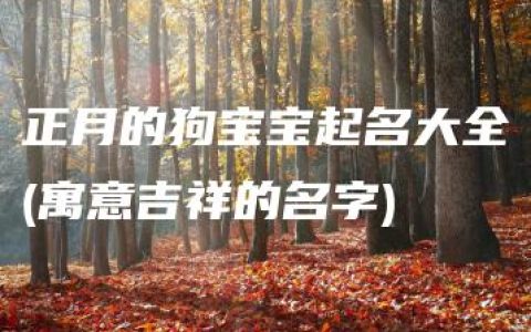 正月的狗宝宝起名大全(寓意吉祥的名字)