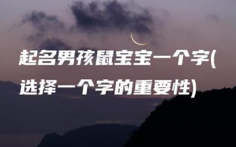 起名男孩鼠宝宝一个字(选择一个字的重要性)