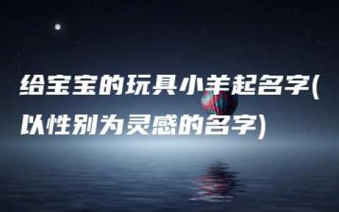 给宝宝的玩具小羊起名字(以性别为灵感的名字)