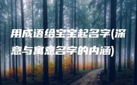 用成语给宝宝起名字(深意与寓意名字的内涵)