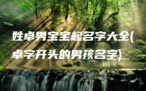 姓卓男宝宝起名字大全(卓字开头的男孩名字)