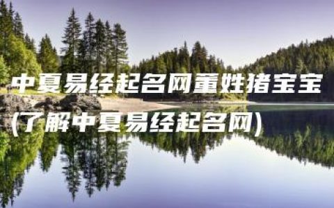 中夏易经起名网董姓猪宝宝(了解中夏易经起名网)