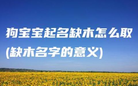 狗宝宝起名缺木怎么取(缺木名字的意义)