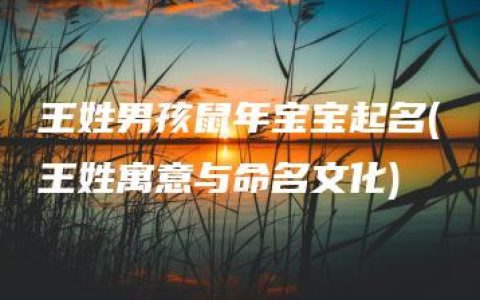 王姓男孩鼠年宝宝起名(王姓寓意与命名文化)