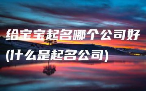 给宝宝起名哪个公司好(什么是起名公司)