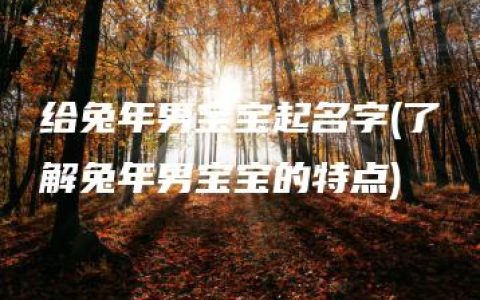 给兔年男宝宝起名字(了解兔年男宝宝的特点)