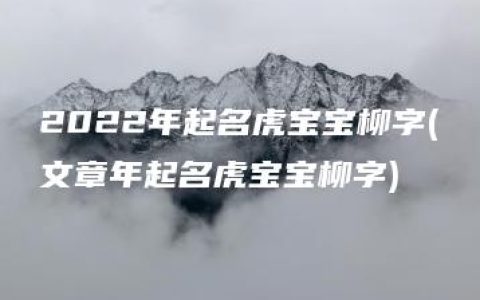 2022年起名虎宝宝柳字(文章年起名虎宝宝柳字)