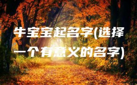 牛宝宝起名字(选择一个有意义的名字)