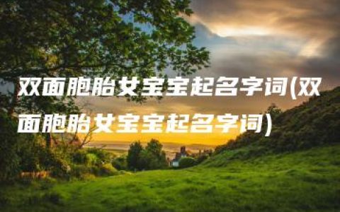 双面胞胎女宝宝起名字词(双面胞胎女宝宝起名字词)