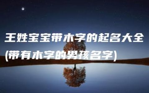 王姓宝宝带木字的起名大全(带有木字的男孩名字)