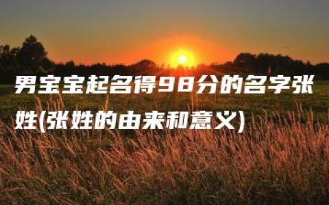 男宝宝起名得98分的名字张姓(张姓的由来和意义)