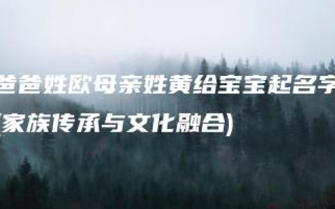 爸爸姓欧母亲姓黄给宝宝起名字(家族传承与文化融合)