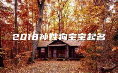 2018孙姓狗宝宝起名