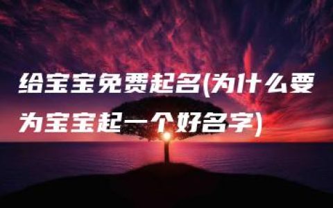 给宝宝免费起名(为什么要为宝宝起一个好名字)