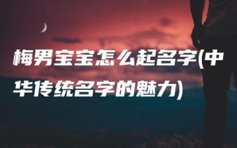 梅男宝宝怎么起名字(中华传统名字的魅力)