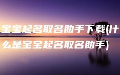 宝宝起名取名助手下载(什么是宝宝起名取名助手)