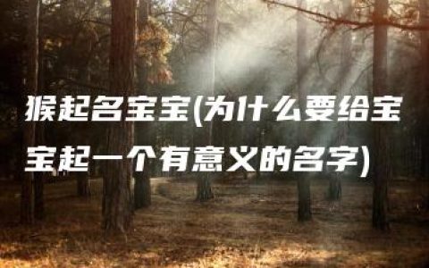 猴起名宝宝(为什么要给宝宝起一个有意义的名字)