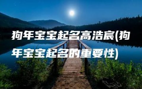 狗年宝宝起名高浩宸(狗年宝宝起名的重要性)