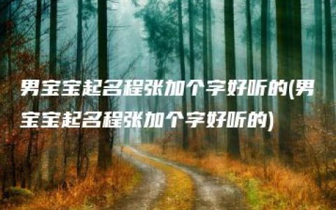 男宝宝起名程张加个字好听的(男宝宝起名程张加个字好听的)