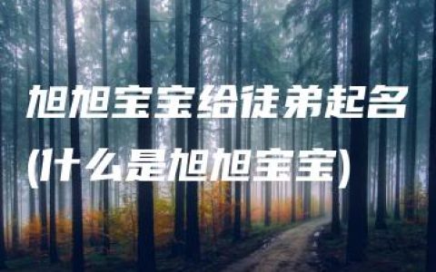 旭旭宝宝给徒弟起名(什么是旭旭宝宝)