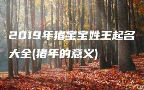 2019年猪宝宝姓王起名大全(猪年的意义)