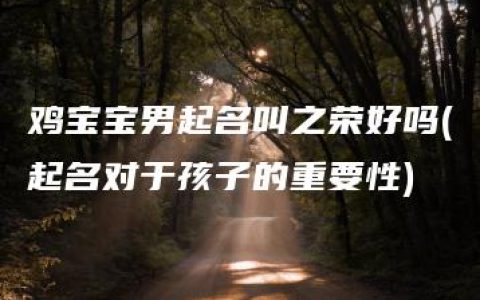 鸡宝宝男起名叫之荣好吗(起名对于孩子的重要性)