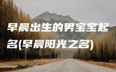 早晨出生的男宝宝起名(早晨阳光之名)