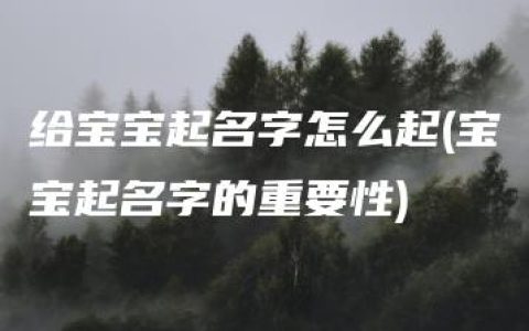 给宝宝起名字怎么起(宝宝起名字的重要性)