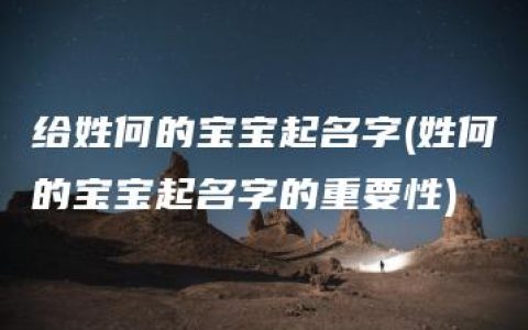 给姓何的宝宝起名字(姓何的宝宝起名字的重要性)