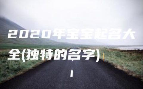 2020年宝宝起名大全(独特的名字)