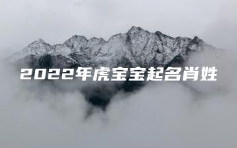 2022年虎宝宝起名肖姓