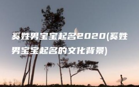 奚姓男宝宝起名2020(奚姓男宝宝起名的文化背景)