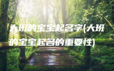 大班的宝宝起名字(大班的宝宝起名的重要性)