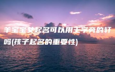 羊宝宝女起名可以用王字旁的轩吗(孩子起名的重要性)