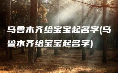 乌鲁木齐给宝宝起名字(乌鲁木齐给宝宝起名字)